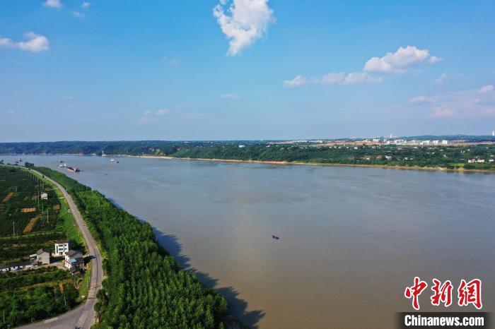 长江岸线湖北宜都段生态修复工程项目开建