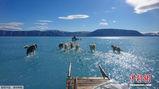 6月19日消息，据香港《文汇报》报道，格陵兰岛位处北极圈内，被大量冰雪覆盖，但当地近日出现不寻常的融冰情况，约20亿吨冰雪在一日内融化。图为6月13日在格陵兰岛西北部，雪橇狗穿过冰川融化后形成的湖水。